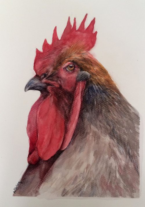 Rooster by Vivian Sophie