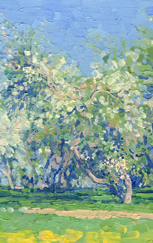 Apple blossom. Kolomenskoye by Simon Kozhin