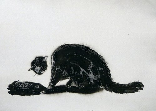 The Black Cat 2, ink drawing 29x42 cm by Frederic Belaubre