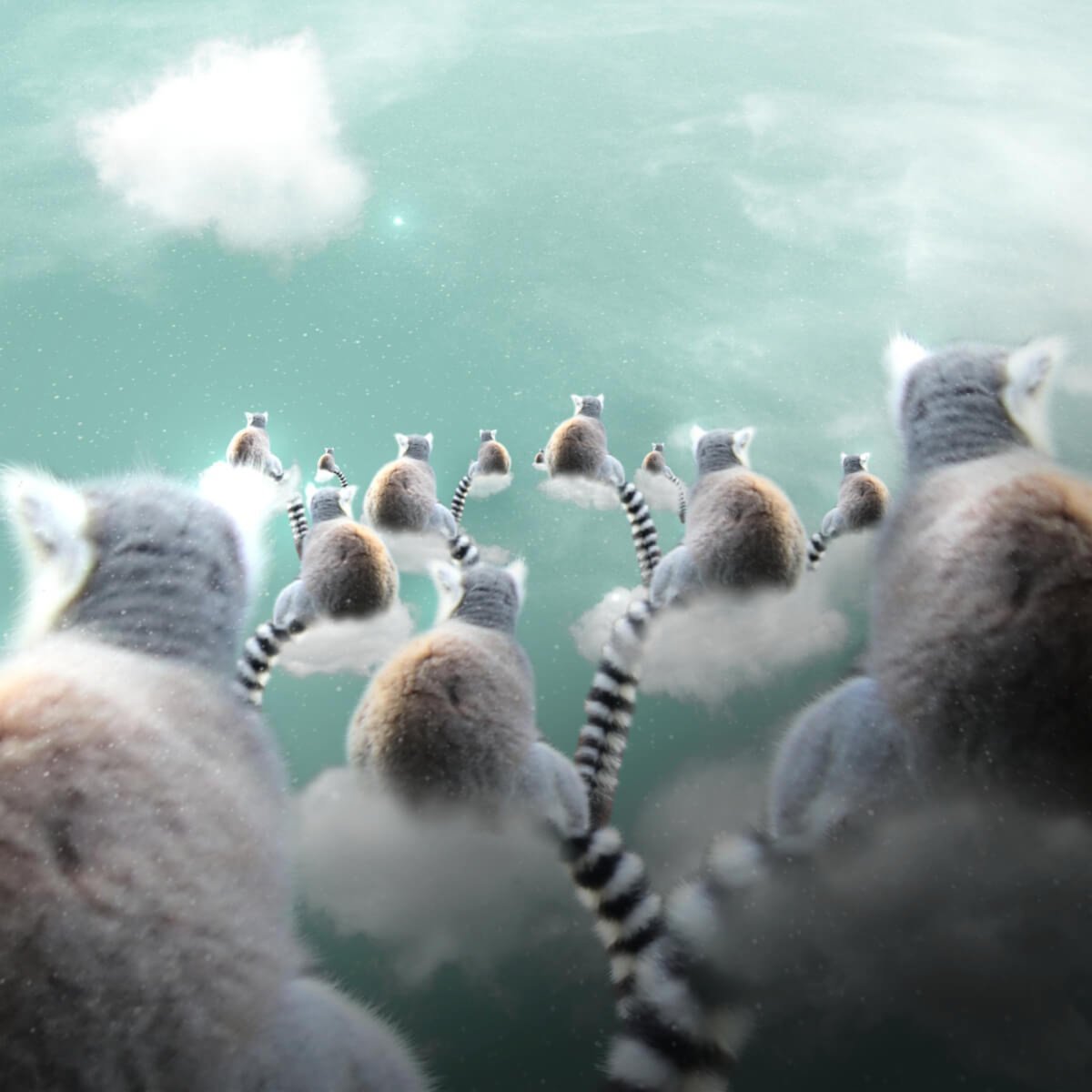 Surrealistic Animal Print By Vanessa T Stefanova, 24 X 24", Lemurs, Original Artwork