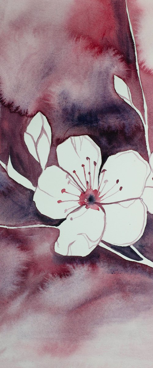 Cherry Blossom No. 16 by Elizabeth Becker