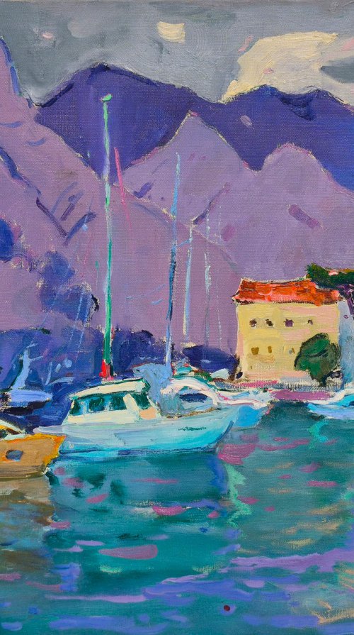 Bay of Kotor by Alexander Shandor