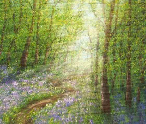 Bluebell forest