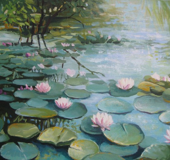 Water lily pond