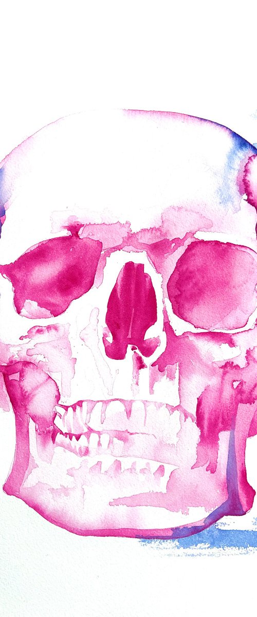 Skull in magenta by Aimee Del Valle