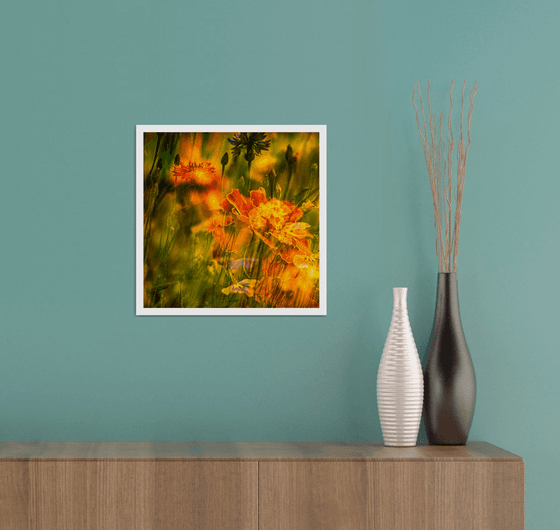 Summer Meadows #7. Limited Edition 1/25 12x12 inch Abstract Photographic Print.
