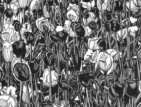 TULIP FEVER II