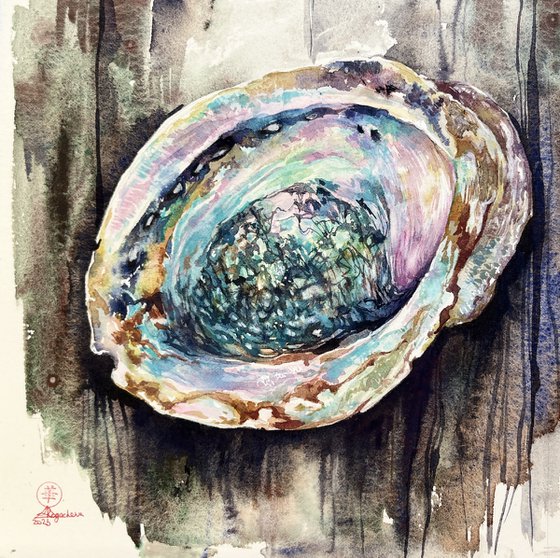 Abalone#4