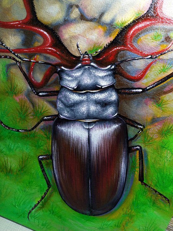 Deer or Beetle
