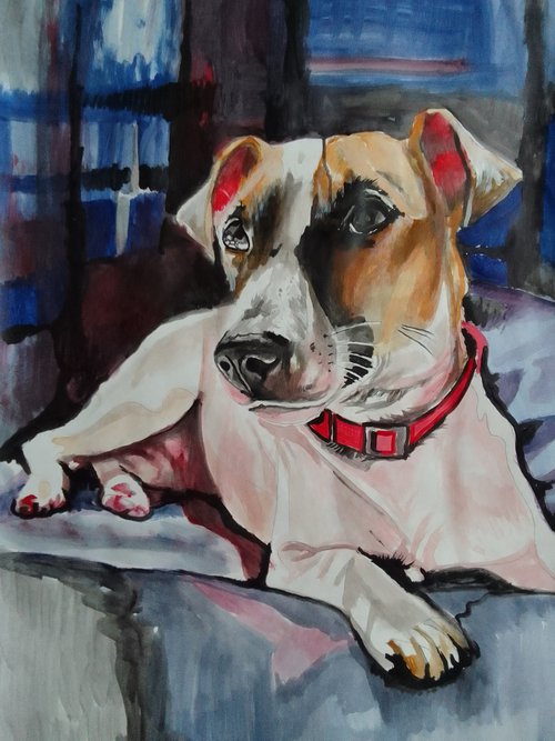 Jack Russell Terrier by Soso Kumsiashvili