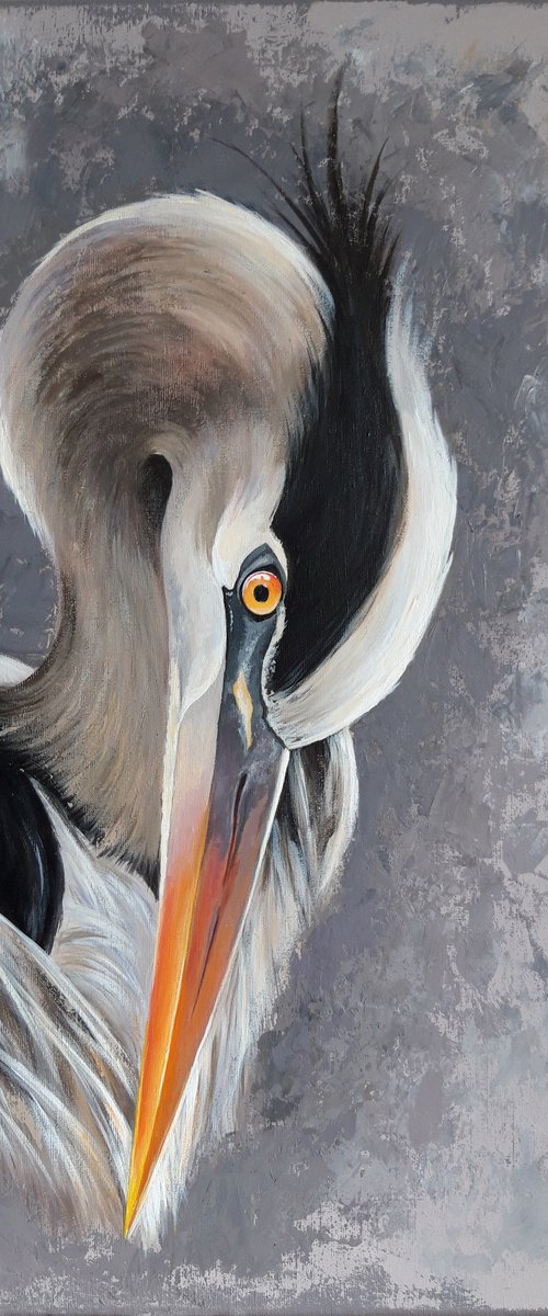 Heron by Natalia Langenberg