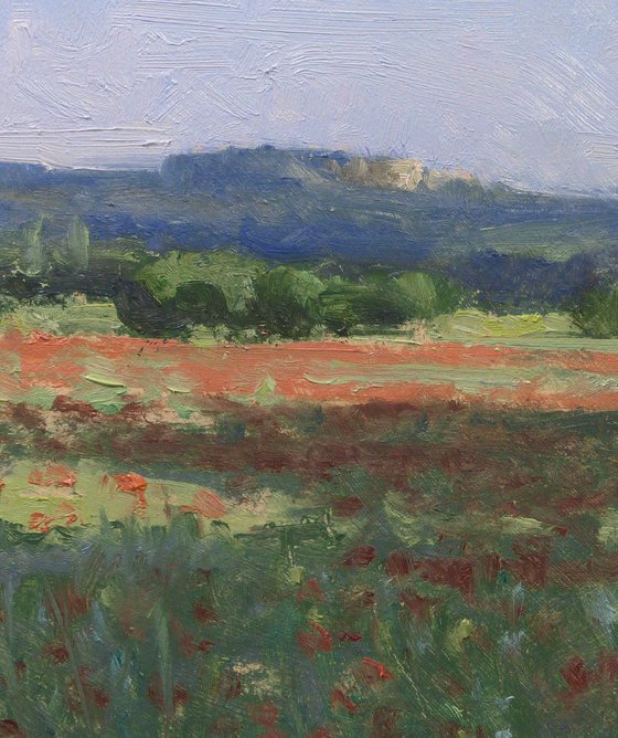 Poppies field near Roussillon