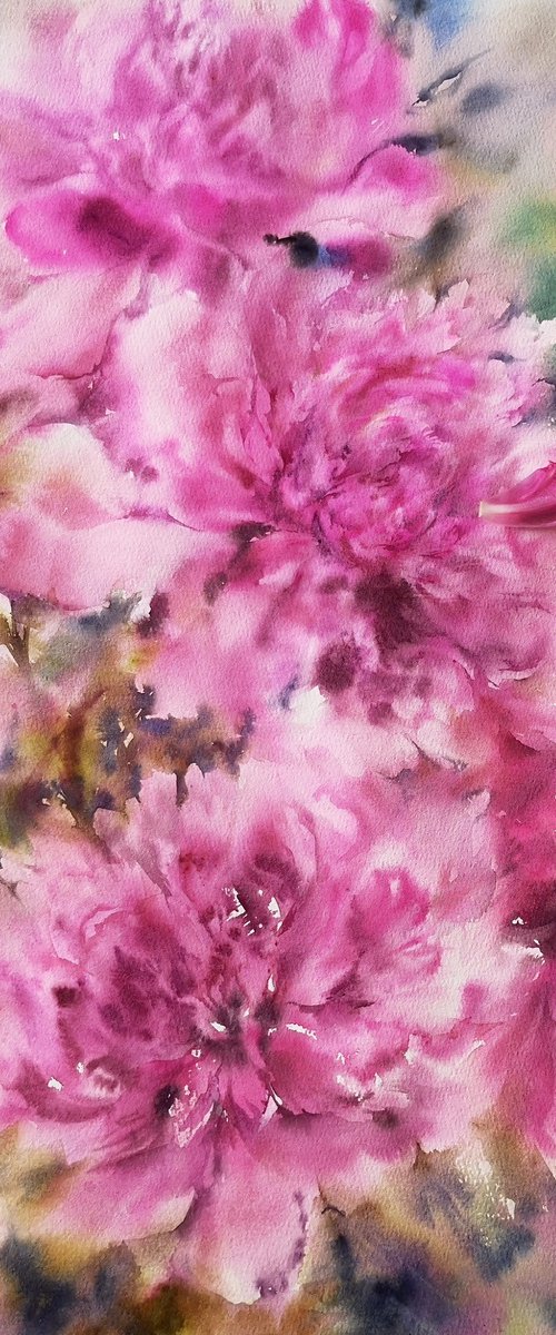 Pink peonies by Olga Grigo