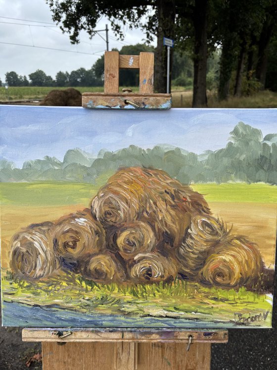 Hay bales. Plein air