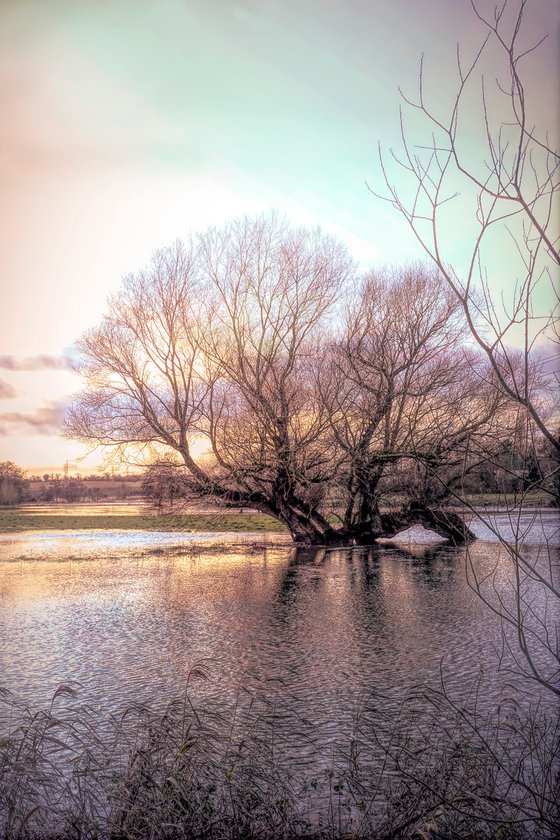 Flooded Field