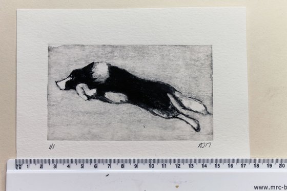 Running Collie vol 2, Dog Monoprint, One of a Kind Print