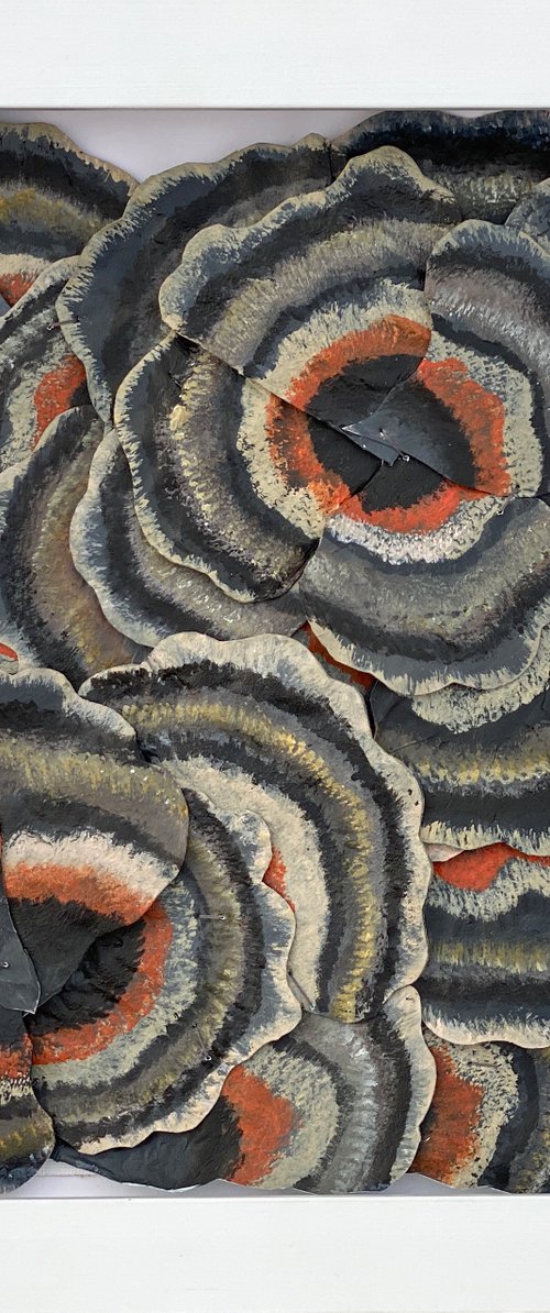 Mushroom Medleys-2 by Swapna Namboodiri