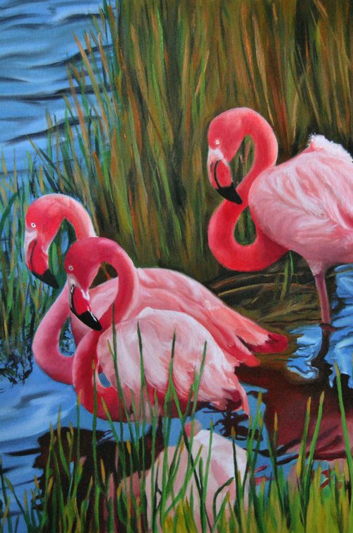 Flamingos by Simona Tsvetkova