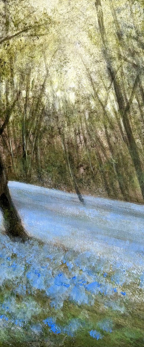 As The Woods Awaken by Jennifer Taylor