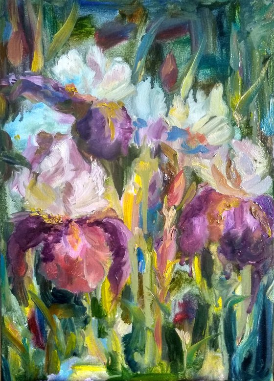 Irises