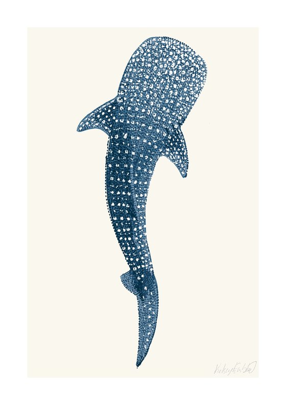 Whale Shark