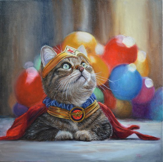 Wonder Cat