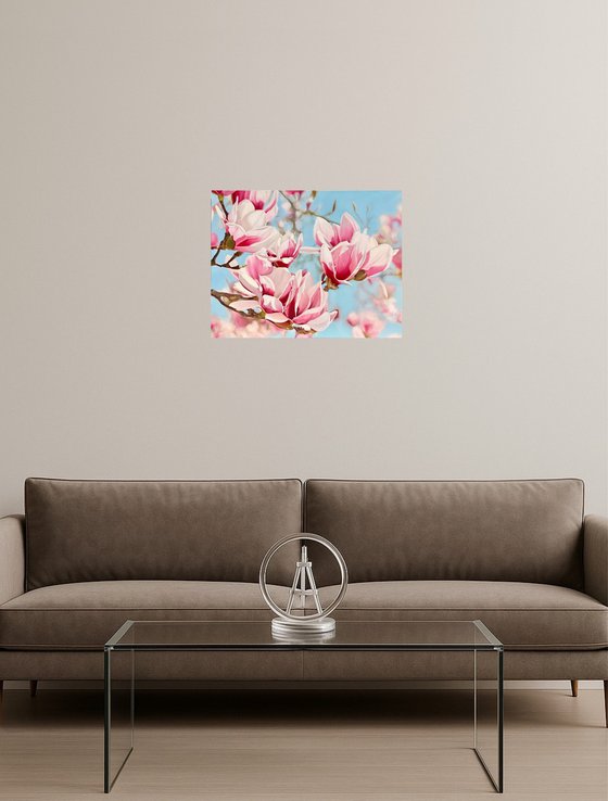Magnolia Flowers