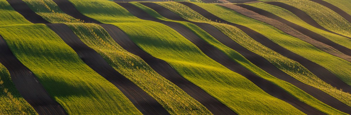 Photorealistic Landscape Photograph By Pavel Oskin, 107 X 35", Bio Stripes, Original Artwork
