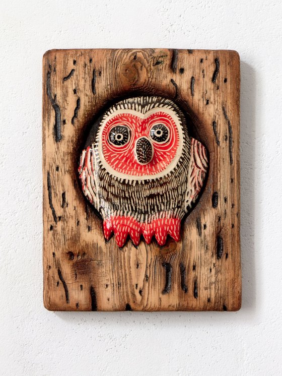 Owl