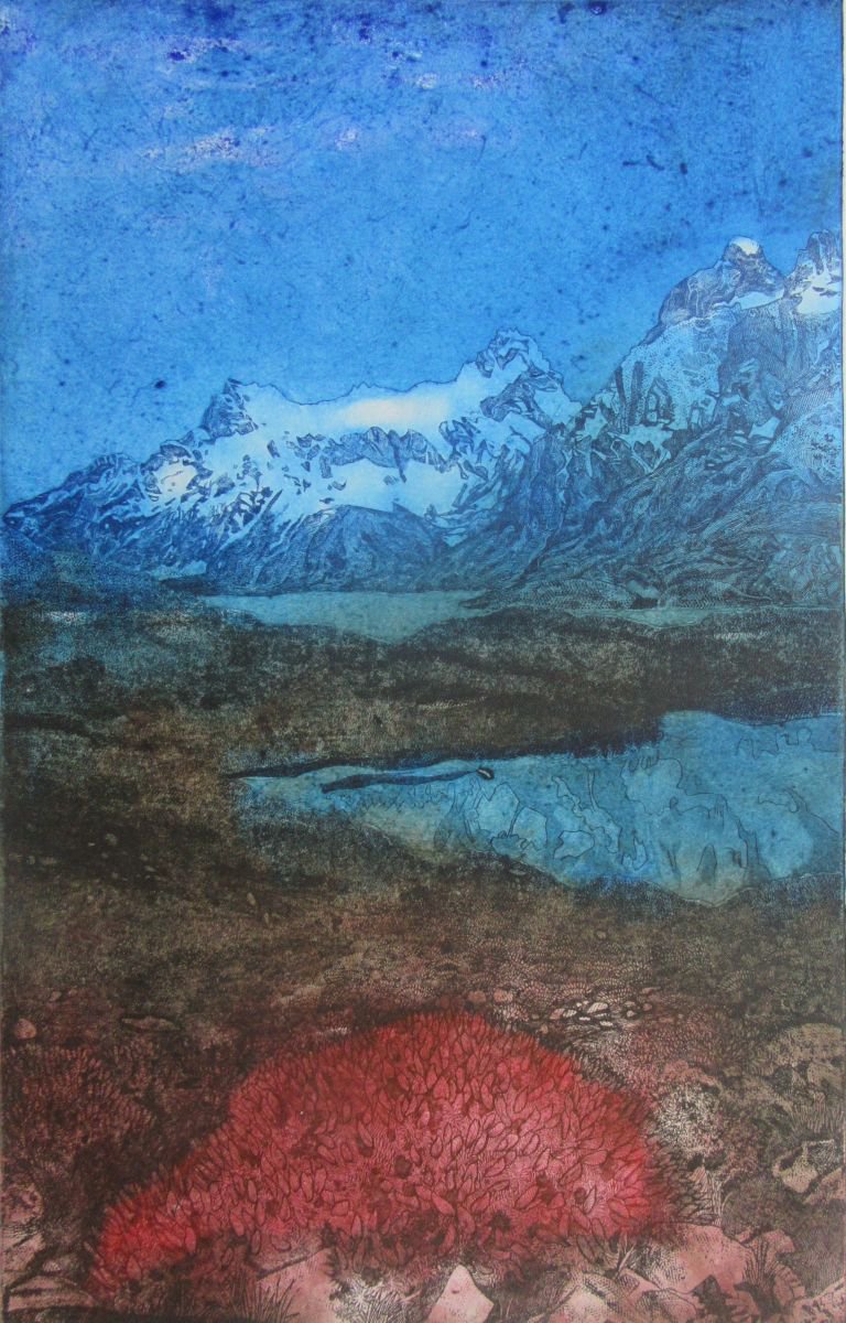 The Fire Bush, Torres Del Paine National Park, South America (Colour1) by Francesca Learmount at Cicca-Art