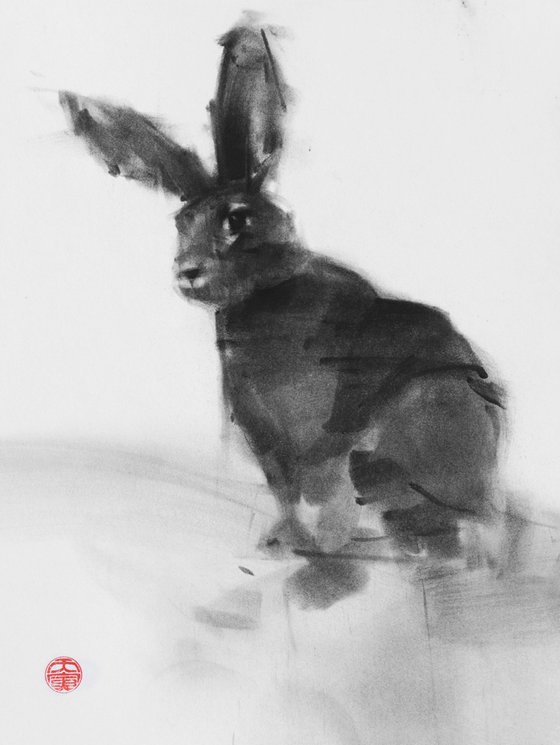 rabbit 002