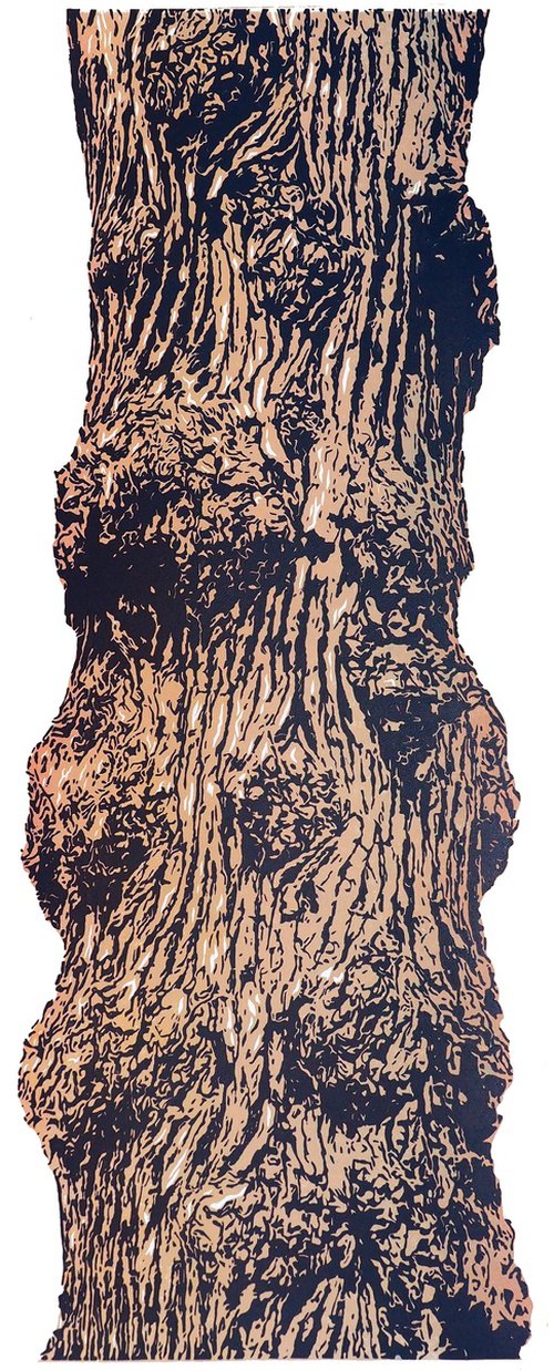Burl Oak by Francis Stanton