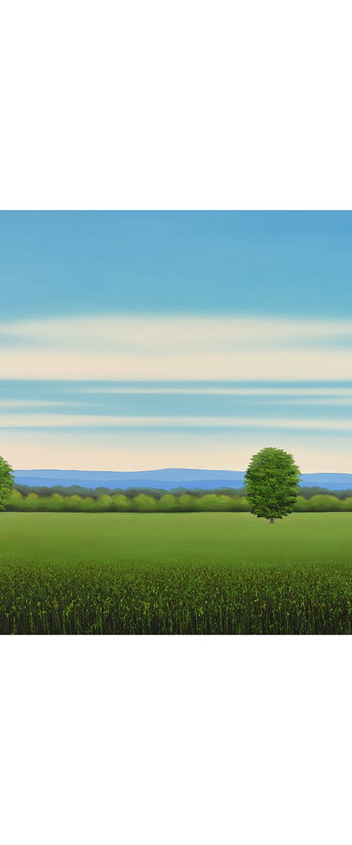 Peaceful Day - Blue Sky by Suzanne Vaughan