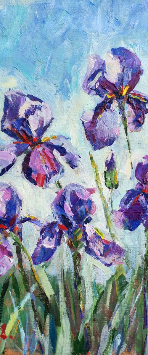 Irisis. Study by Sasha Romm