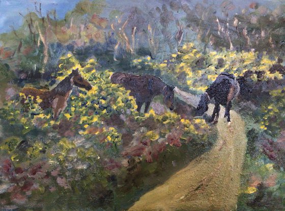 New forest ponies