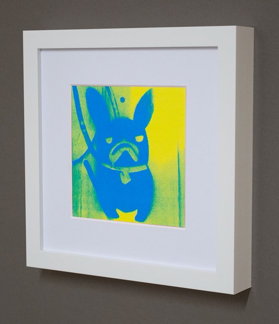 'Blue' French Bulldog (small framed artists proof)