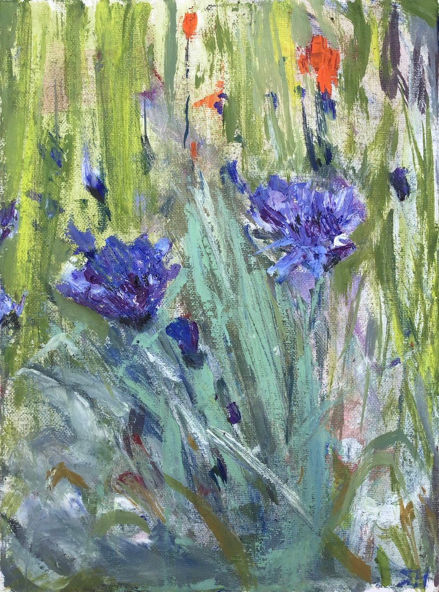 Impressionistic Botanical Oil Painting By Sandra Haney, 9 X 12", Cornflowers Study 2, Original Artwork