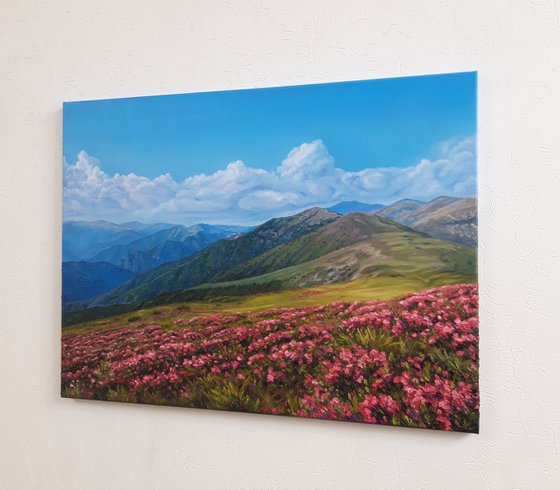 Spring in the mountains