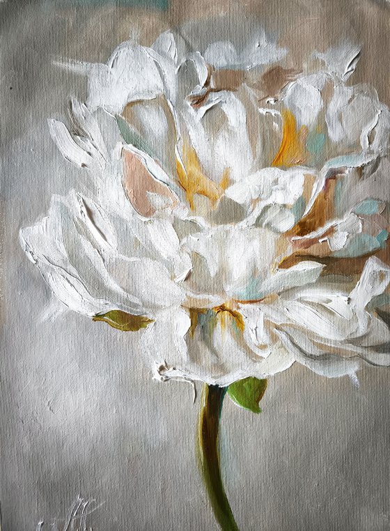 White peonies painting