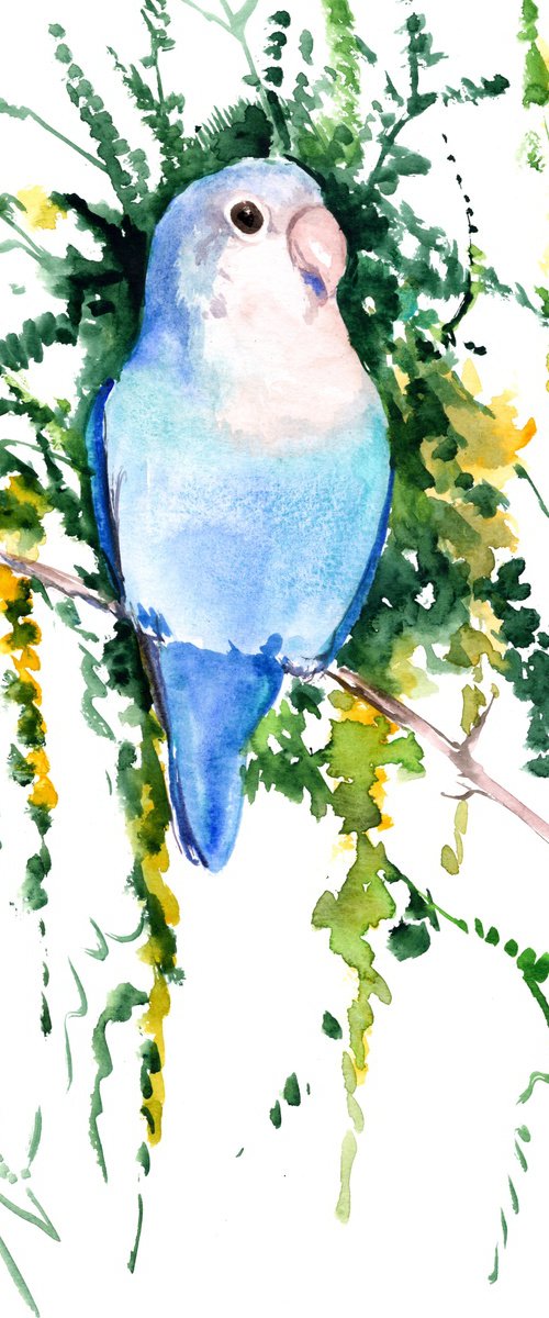 Blue Lovebird and Acacia Tree by Suren Nersisyan