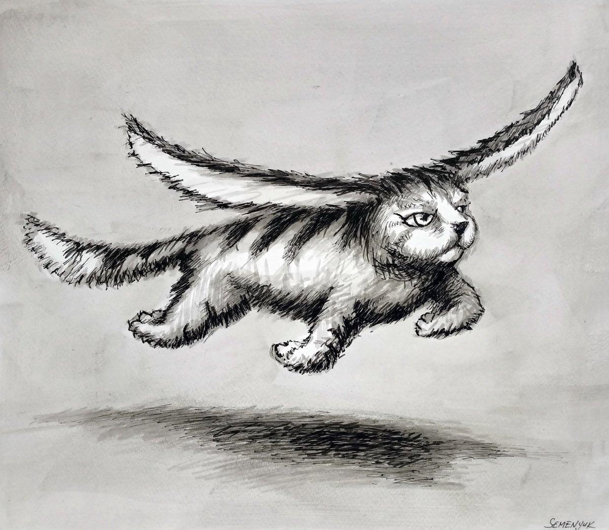 Flying Cat 2 by Evgen Semenyuk