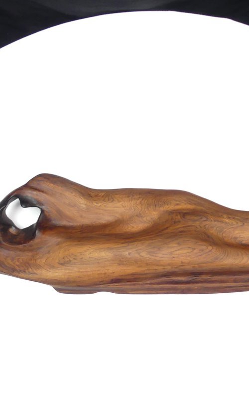 Wave of Love by J. Lane