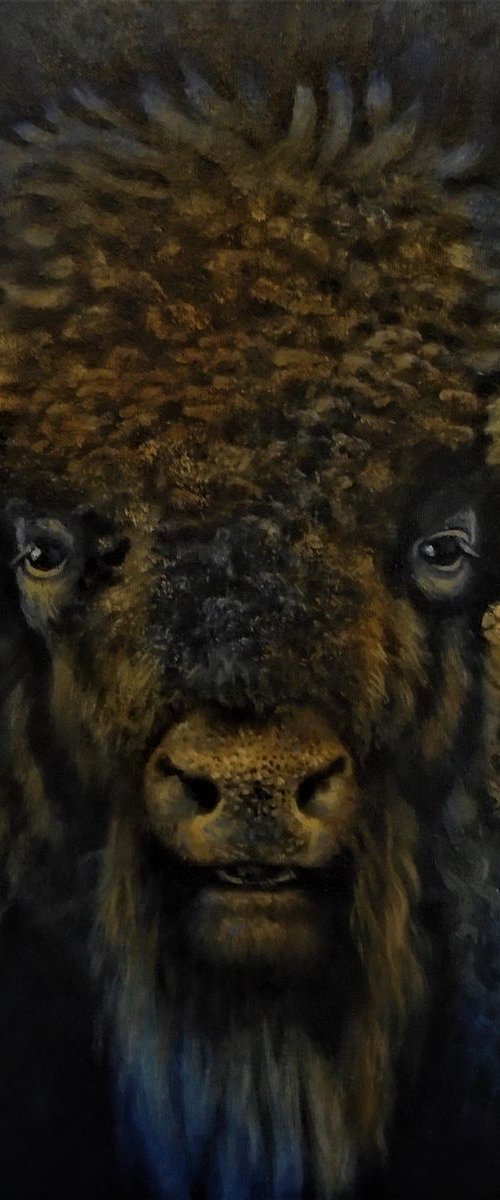 Portrait of a North American Bison by Michael Mullen