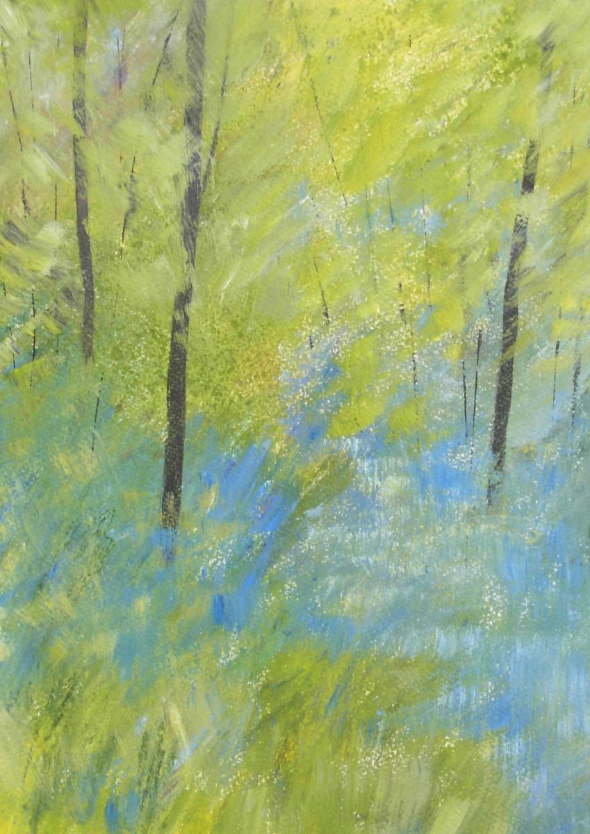 Bluebell Woods by Jan Rippingham