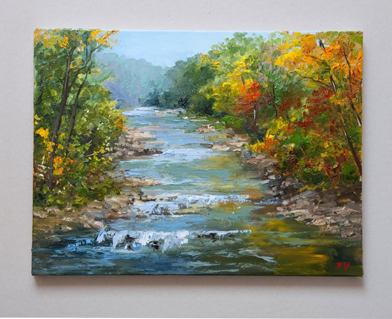 Forest creek.