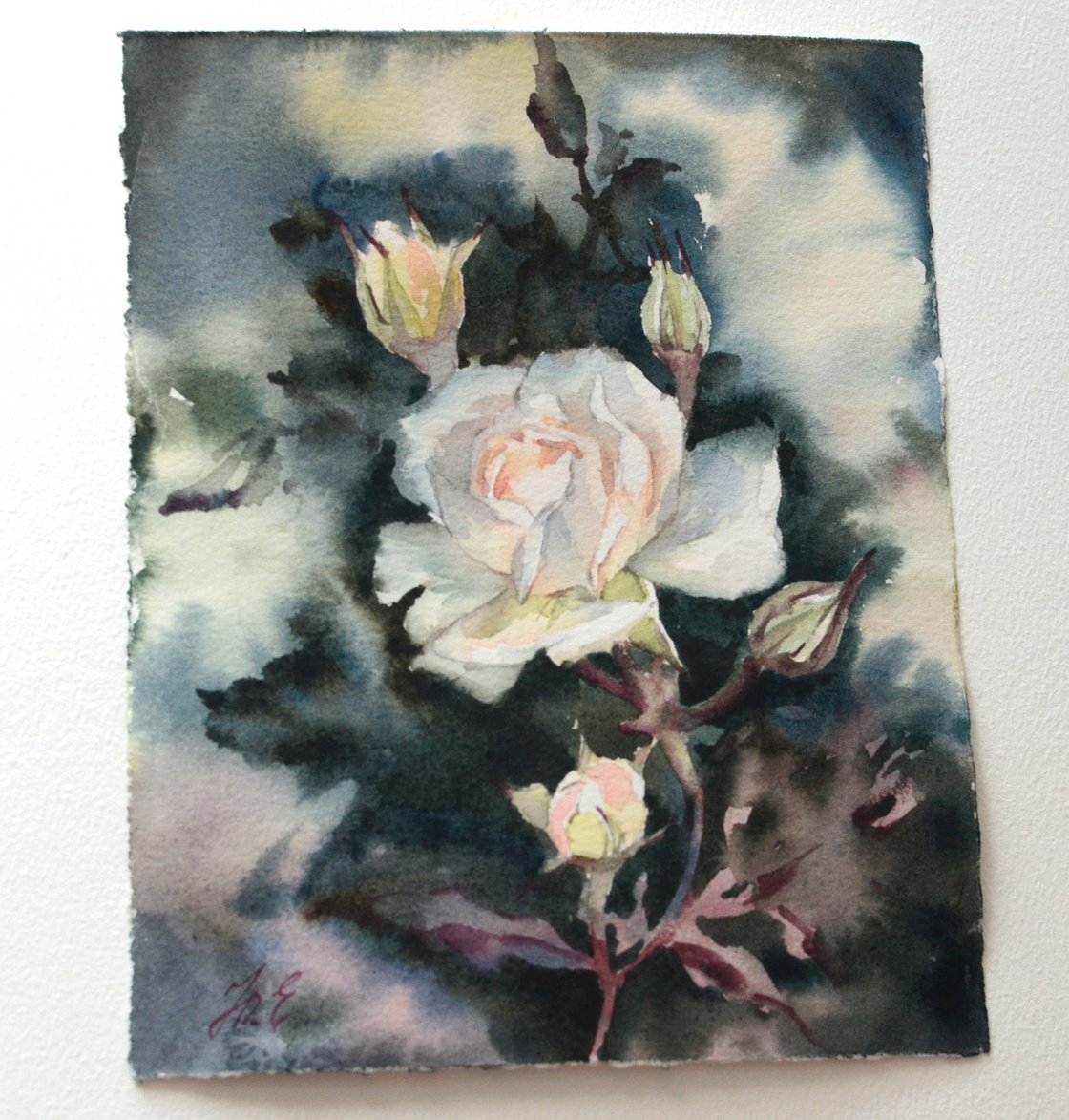 White rose in gouache paint on paper 7x10 inch. This fun study was painted  from life a couple days ago while on my trip in washington…