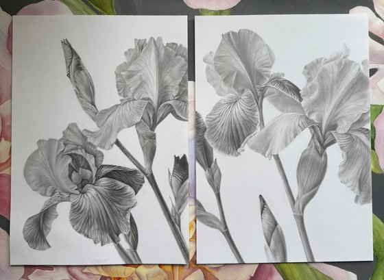 Iris Diptych
