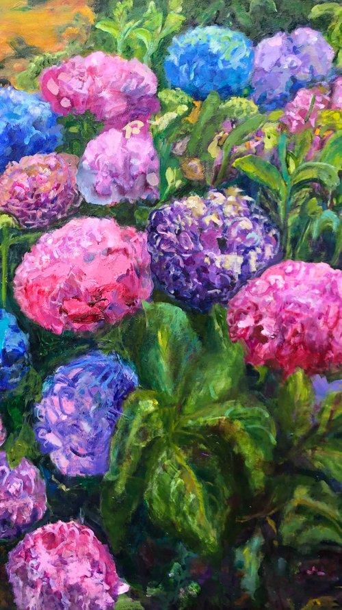 MARCELLA'S HYDRANGEAS by Maureen Finck
