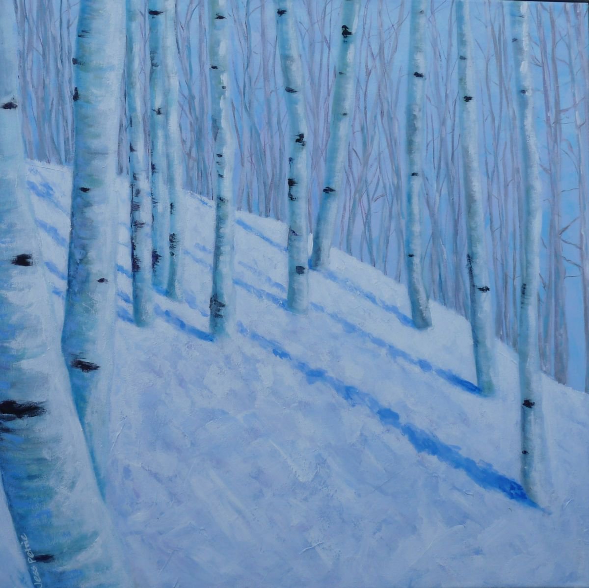 Winter Birches by Jess Petrie