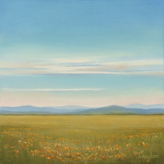 Wildflower Field - Blue Sky Landscape